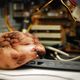 Illustration for article titled Mechanical Tumor Is the Grossest Computer Peripheral Ever